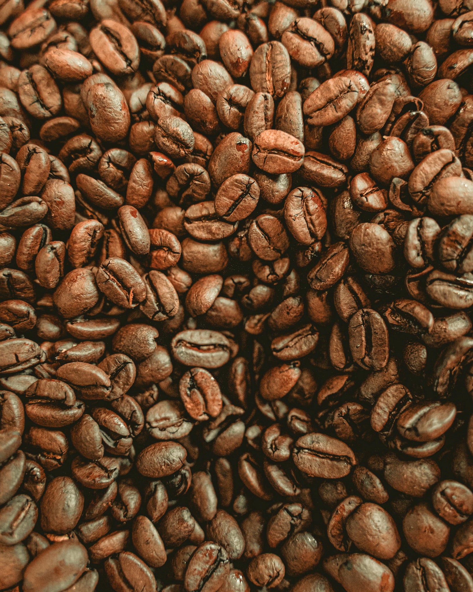 Locals No. 27 Premium Beans (Espresso)